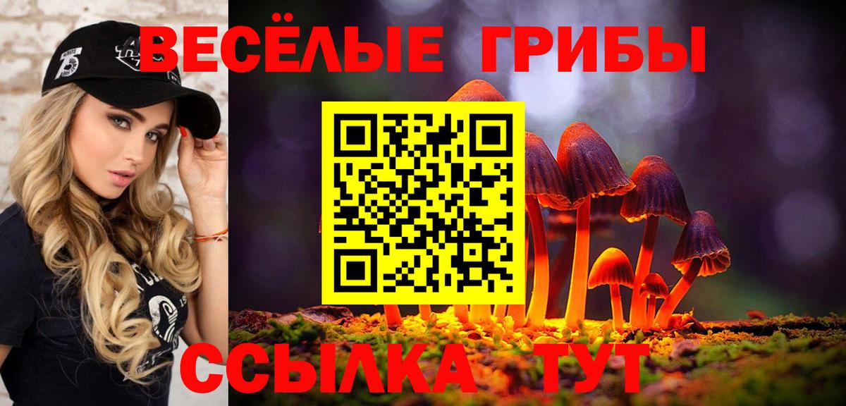Электрогорск  Псилоцибиновые грибы Psilocybe  Вход с VPN  Псилоцибиновые грибы Psilocybine cubensis 